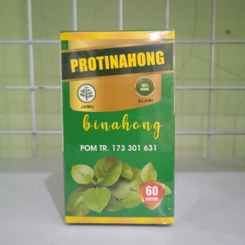 Jual Protinahong Ekstrak Daun Binahong 60 Kapsul Hebal Asam Urat Nyeri Sendi Dan Mempercepat 7378