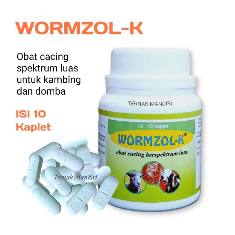 Jual WORMZOL K ISI 10 KAPLET OBAT CACING KAMBING DOMBA | Shopee Indonesia