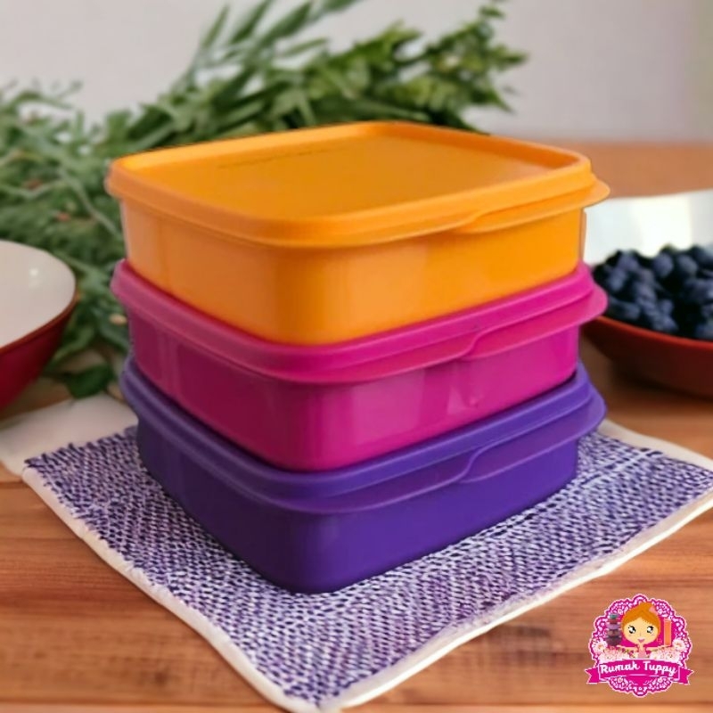 Jual TUPPERWARE Cool Teen Lunch Box Divided Lunch Box 1pcs di