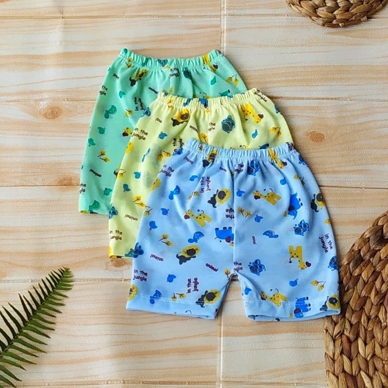 Set Of 4 Cartoon Cotton Kidley Panties For Boys Cute And Casual