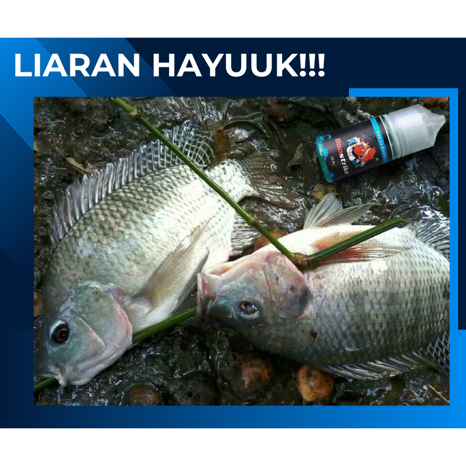 Jual Umpan Ikan Nila Babon Galatama Essen Ikan Nila Susah Makan