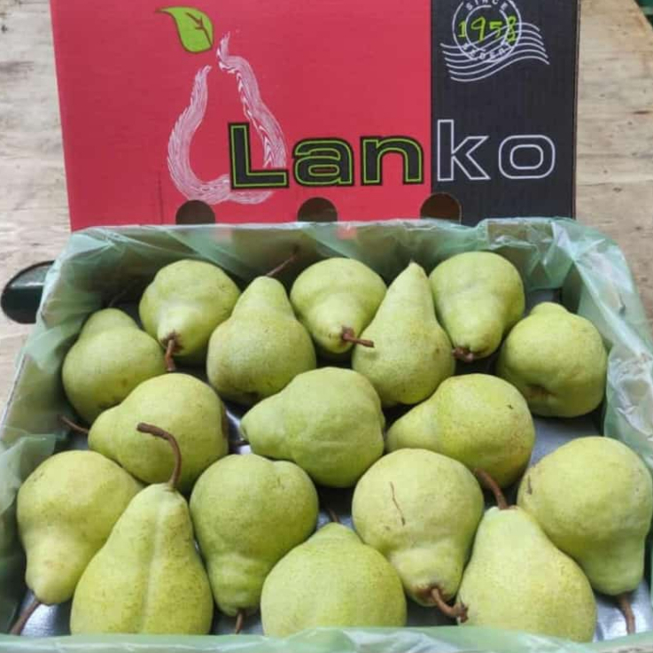 Jual PEAR PACKHAM 1 KG | Shopee Indonesia