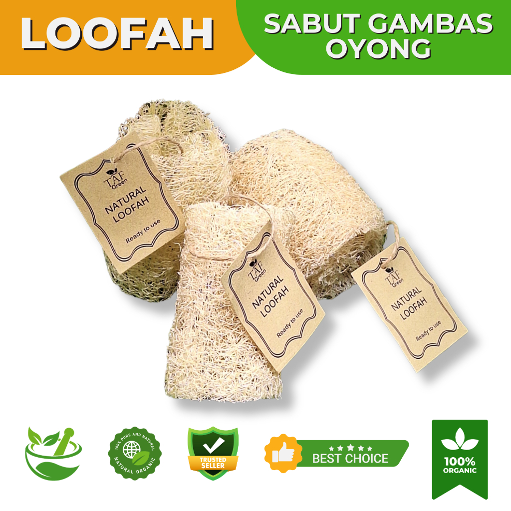 Jual Loofah Sabut Gambas Oyong Scrub Mandi Alami Spons Cuci Piring