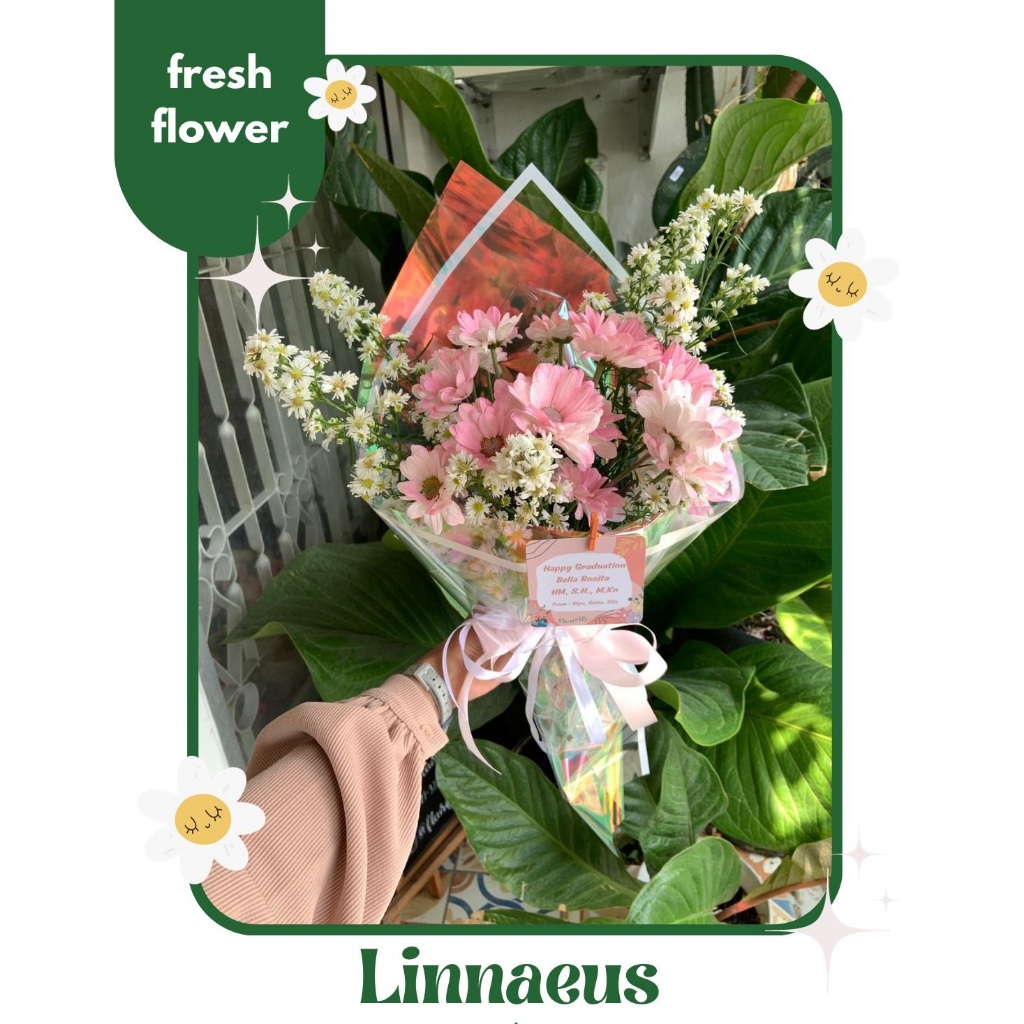 Jual Buket Bunga Fresh Jogja - Linnaeus Fresh Bouquet | Shopee Indonesia