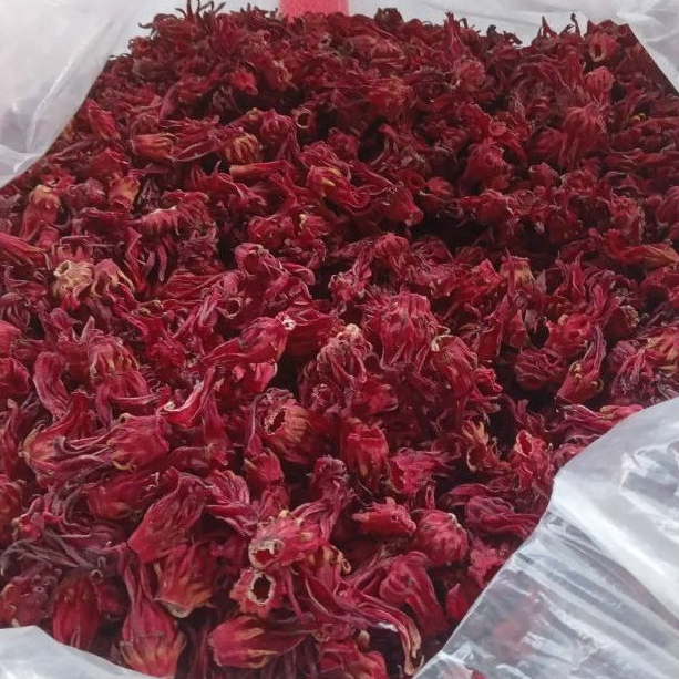 Jual 100gr Bunga Rosella Merah Kering /premium red rosella/hibiscus tea ...