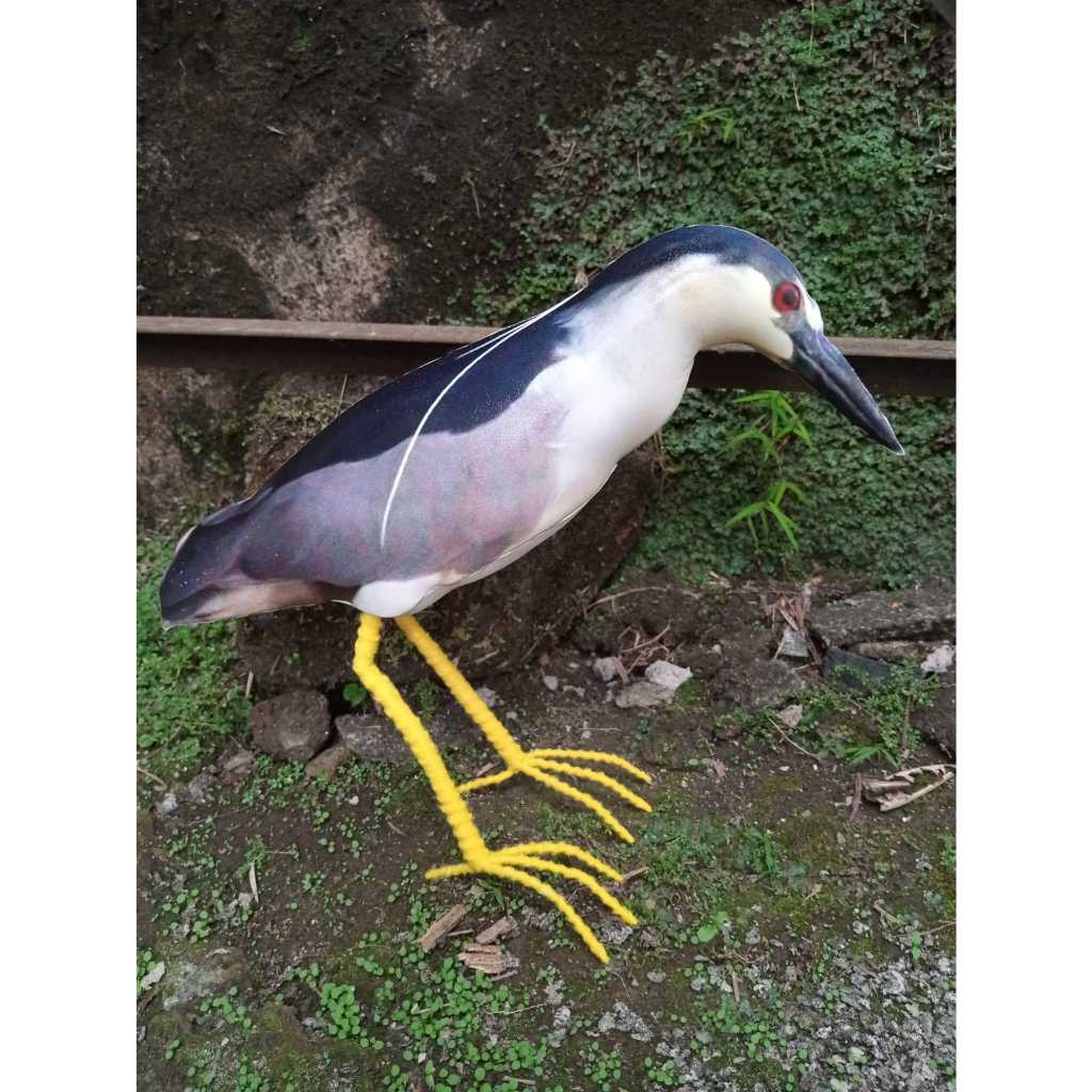Jual Jontort patung koak abu/koak maling/koak malam | Shopee Indonesia