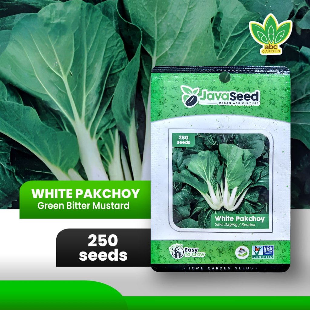 Jual [250 Seeds] Benih Sawi Daging Pakchoy Putih White Pakchoy F1