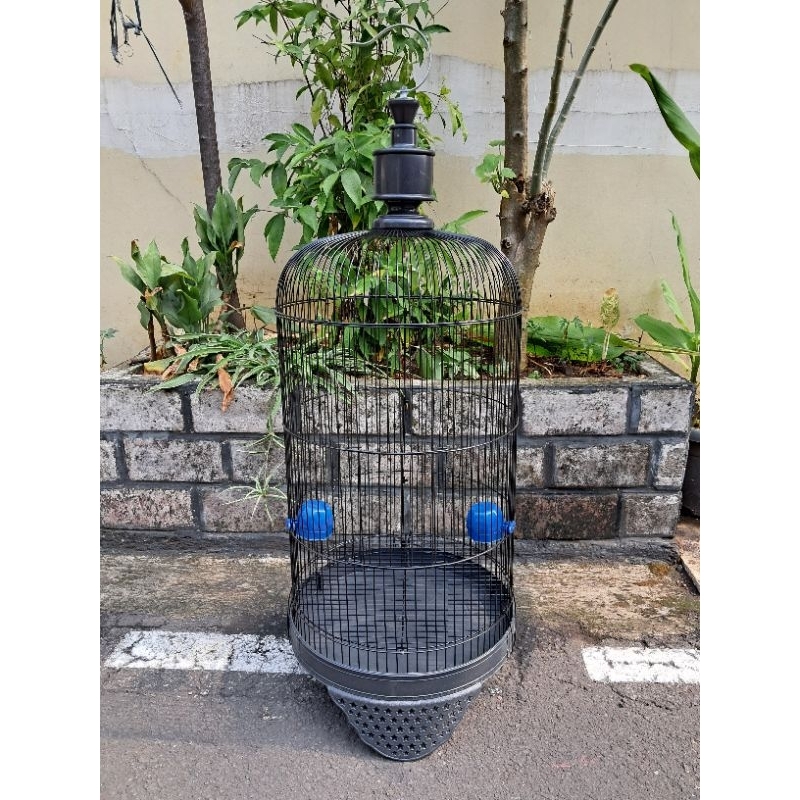 Jual Sangkar Lovebird Sangkar Konin Sangkar Burcil Shopee Indonesia 1437