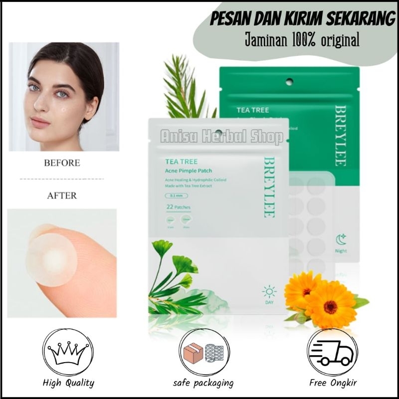 Jual Bpom Breylee Acne Pimple Patch Stiker Penghilang Jerawat Shopee Indonesia