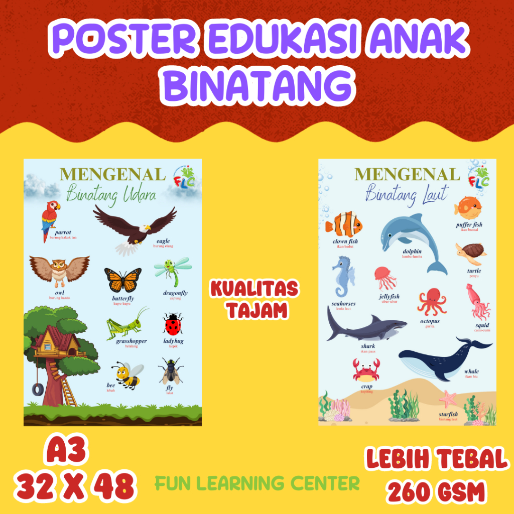 Jual Poster Edukasi / Mainan Edukasi Anak PAUD TK SD - BINATANG