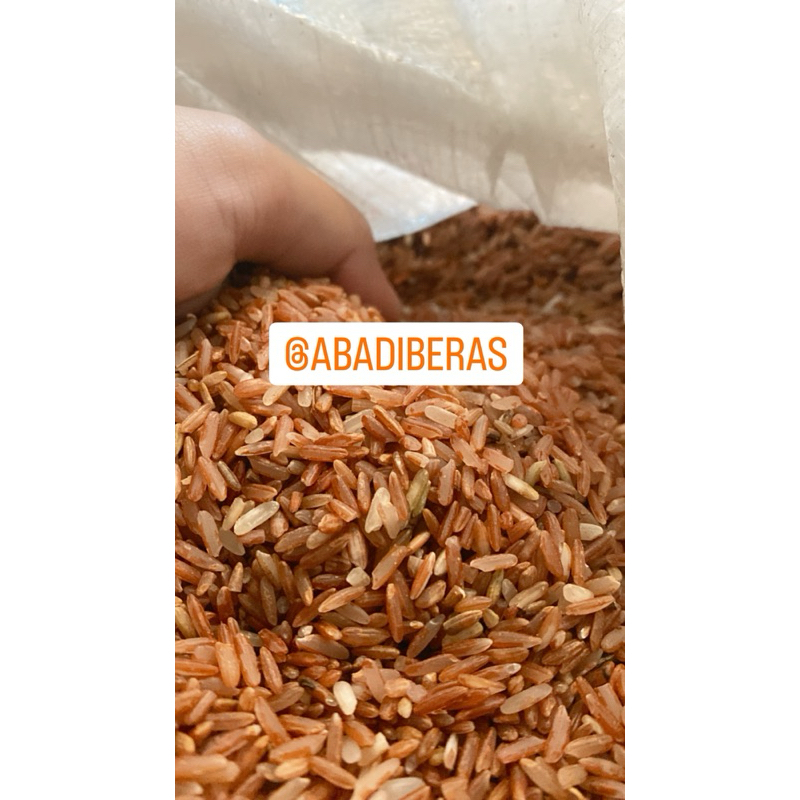 Jual BERAS MERAH pecah kulit 1 kg pulen, EMPUK/Beras merah diet/Beras ...