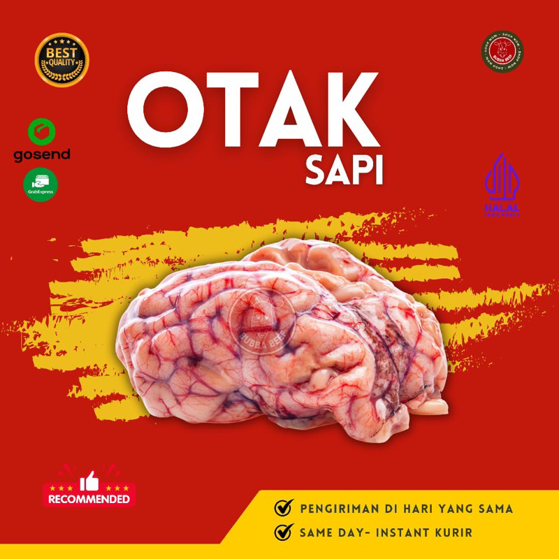 Jual Otak Sapi Frozen Otak Sapi Fresh Otak Sapi Segar Otak Sapi