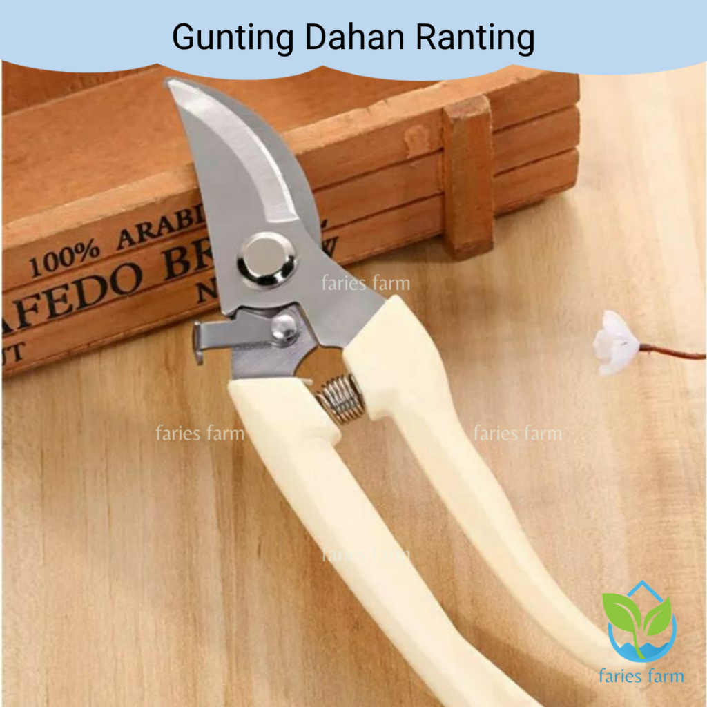 Jual Gunting Dahan Ranting Bunga Tanaman Peralatan Berkebun Pruning ...