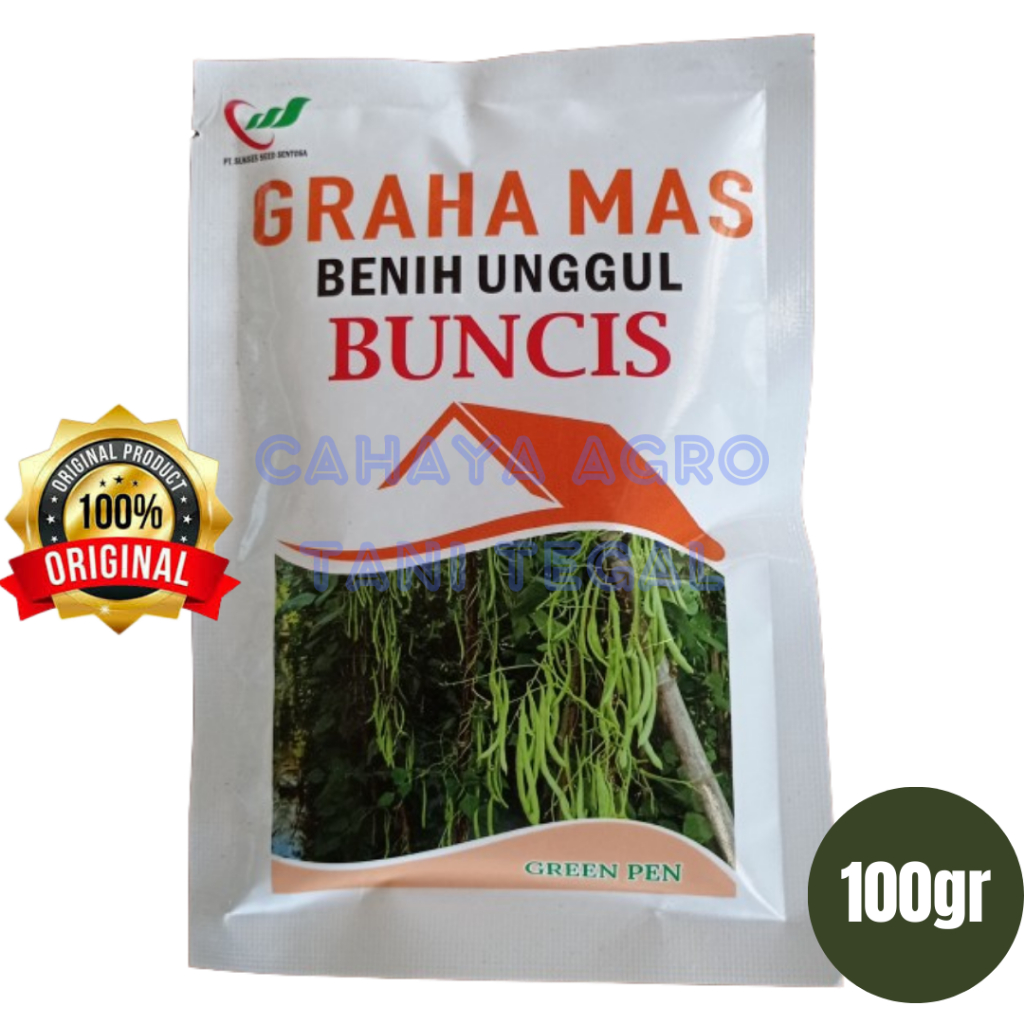 Jual Benih BUNCIS Graha mas 100gram | Shopee Indonesia