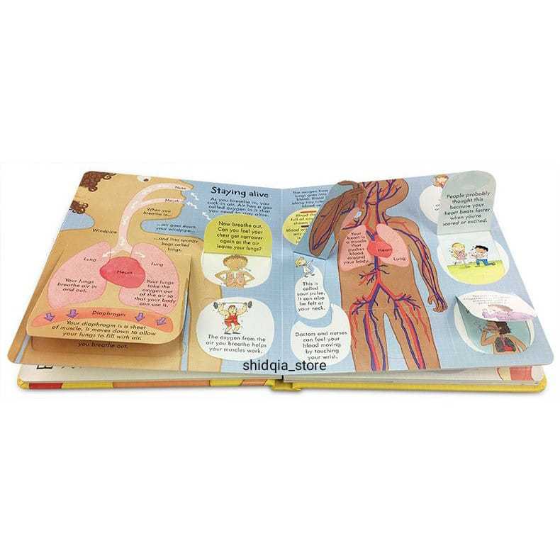 Jual Usborne LOOK INSIDE YOUR BODY Buku Impor edukasi anak Pengenalan ...