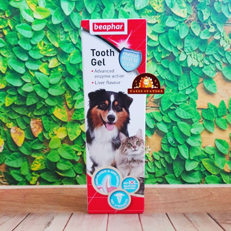 Jual Beaphar Tooth Paste Tooth Gel For Dog Cat 100gr Odol Anjing Kucing