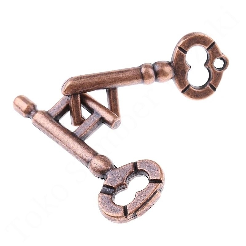 Jual Mainan Puzzle Sepeda Metal Brain Treaser Stress Toy Kunci Maze Key ...