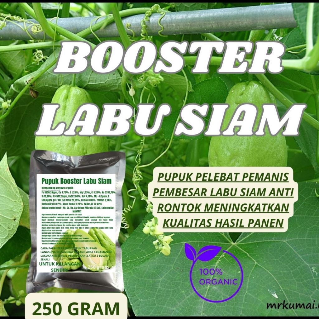 Jual TFI Pupuk Booster Labu Siam 250 GR Pelebat Buah dan Anti Rontok ...