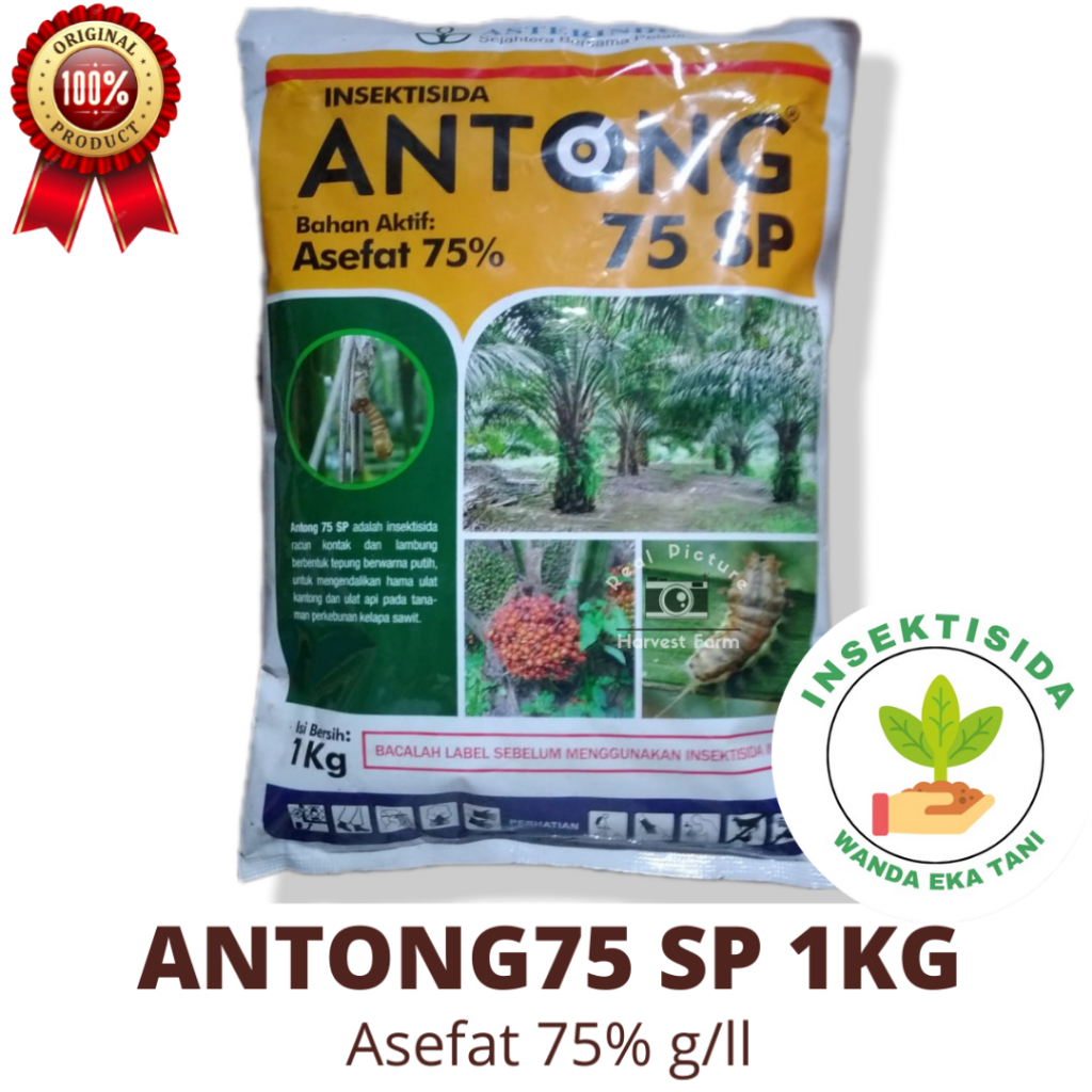 Jual Insektisida Antong 75Sp Asefat 75% g/l Insektisida sistemik&Kontak ...