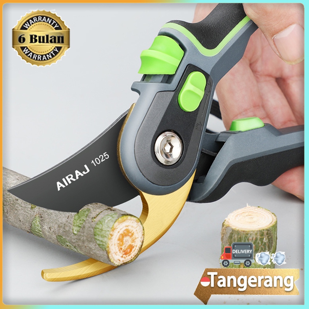 Jual Gunting Dahan 8 Inch Gunting Tanaman Ranting Bunga Tanaman Gunting ...