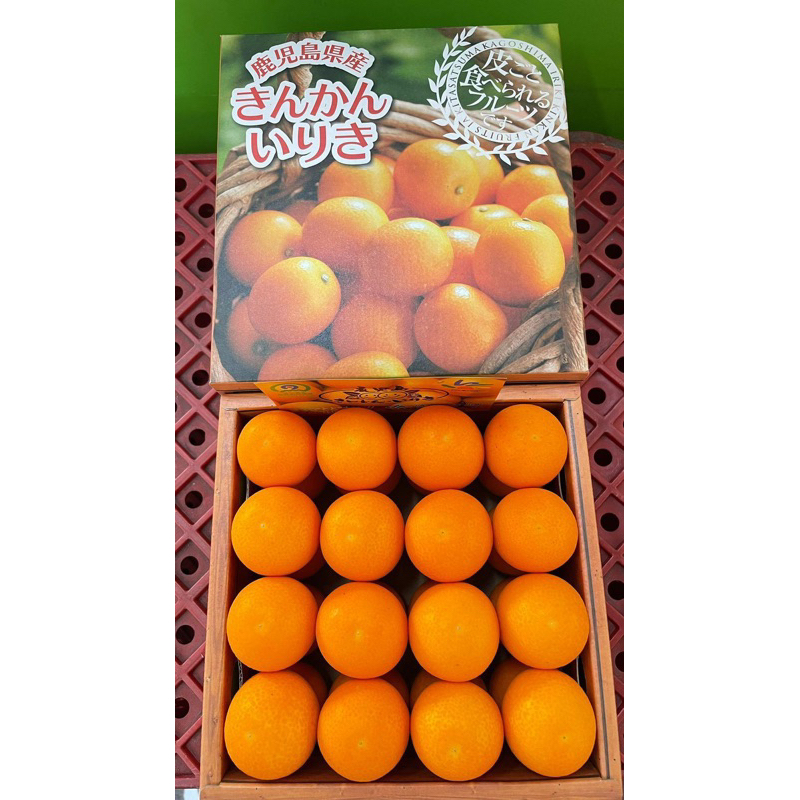 Jual KINKAN JEPANG 🇯🇵 | Shopee Indonesia
