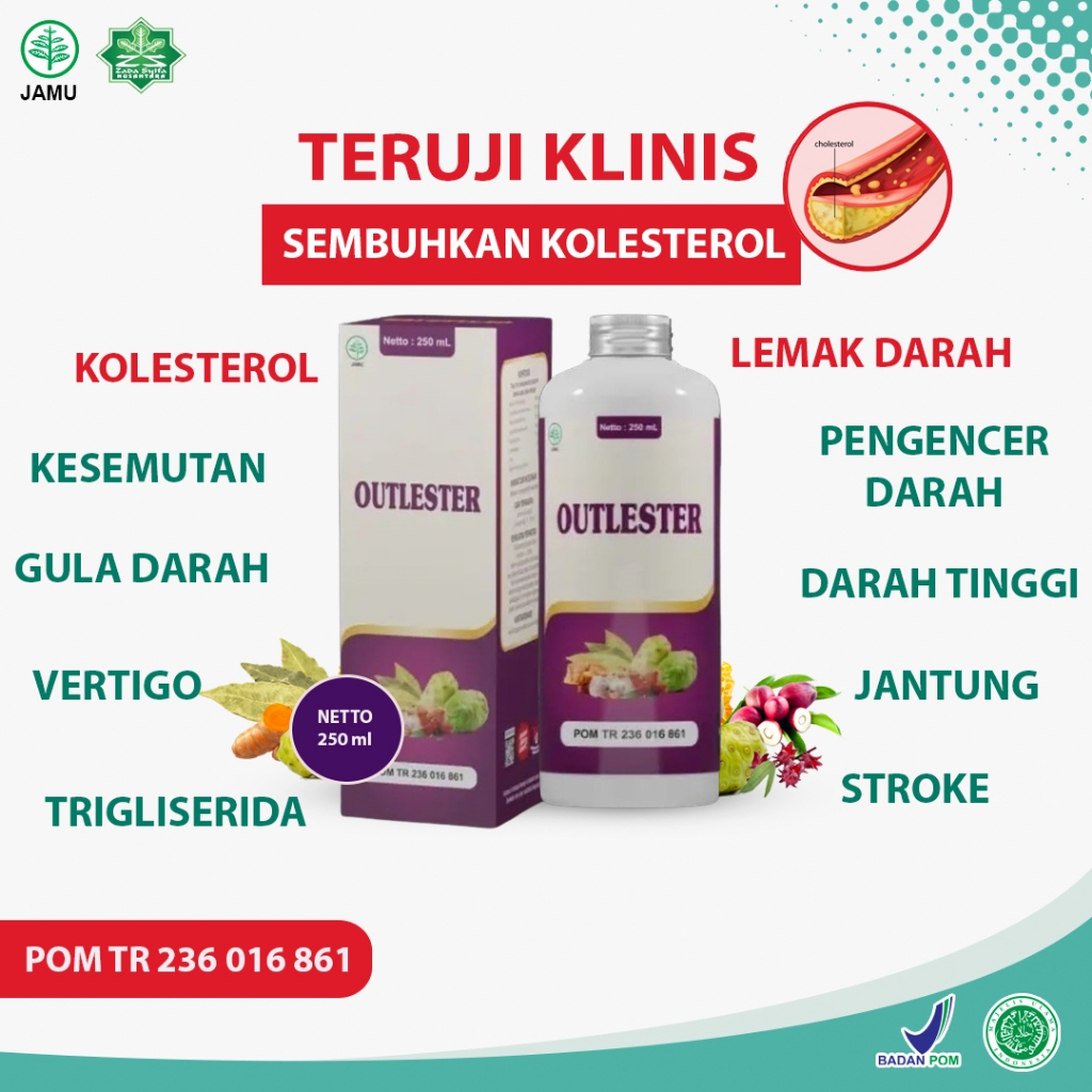 Jual Obat Penurun Kolesterol Trigliserida Tinggi, Gula Lemak Darah ...