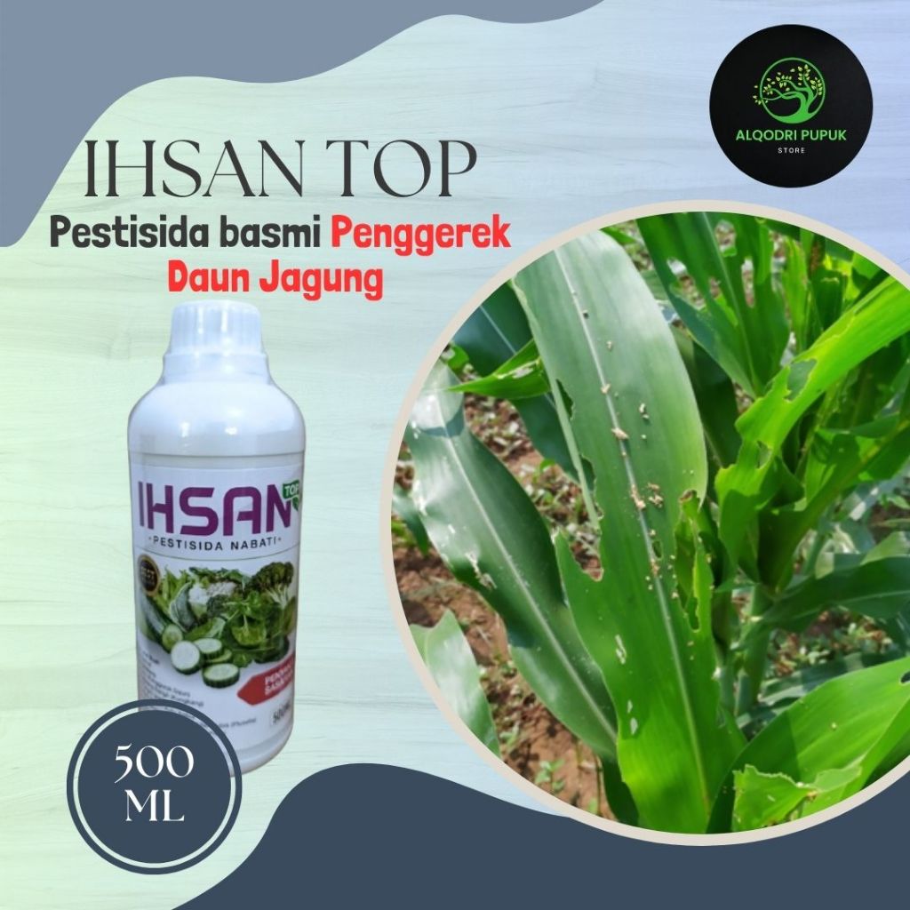 Jual Obat Hama Ulat Penggerek Daun Jagung Ihsan Top 500ml Pupuk