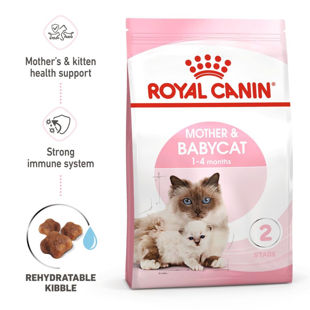 Royal canin mother 2025 and baby cat manfaat