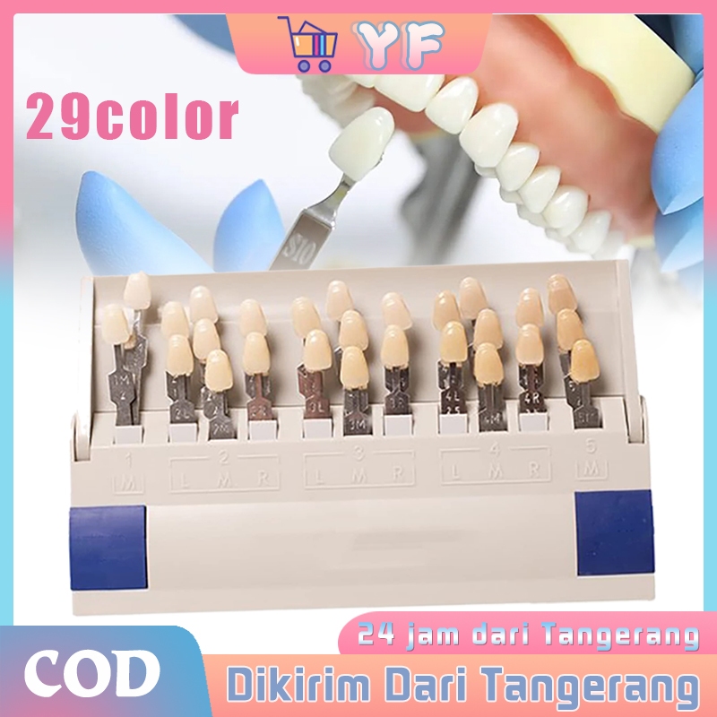 Jual 29 Warna Shade Guide Dental Vita 3D Shade Guide Shopee Indonesia