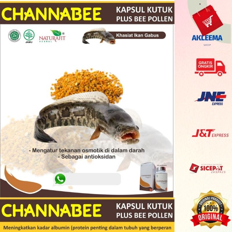 Jual BPOM RESMI Kapsul Kutuk Premium CHANNA BEE Plus Beepoleen isi 60 ...