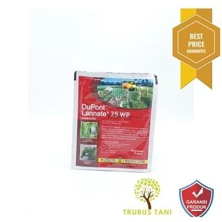 Onlayn fisting porno: haddan tashqari buzuqlik Jinsiy aloqa videolarini xavfsiz tomosha qiling