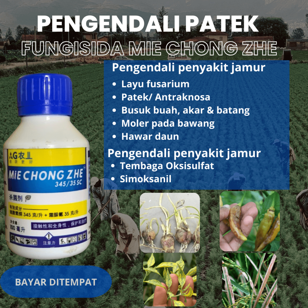 Jual Fungisida Mie Chong Zie Pengendali Penyakit Jamur Pada Tanaman ...