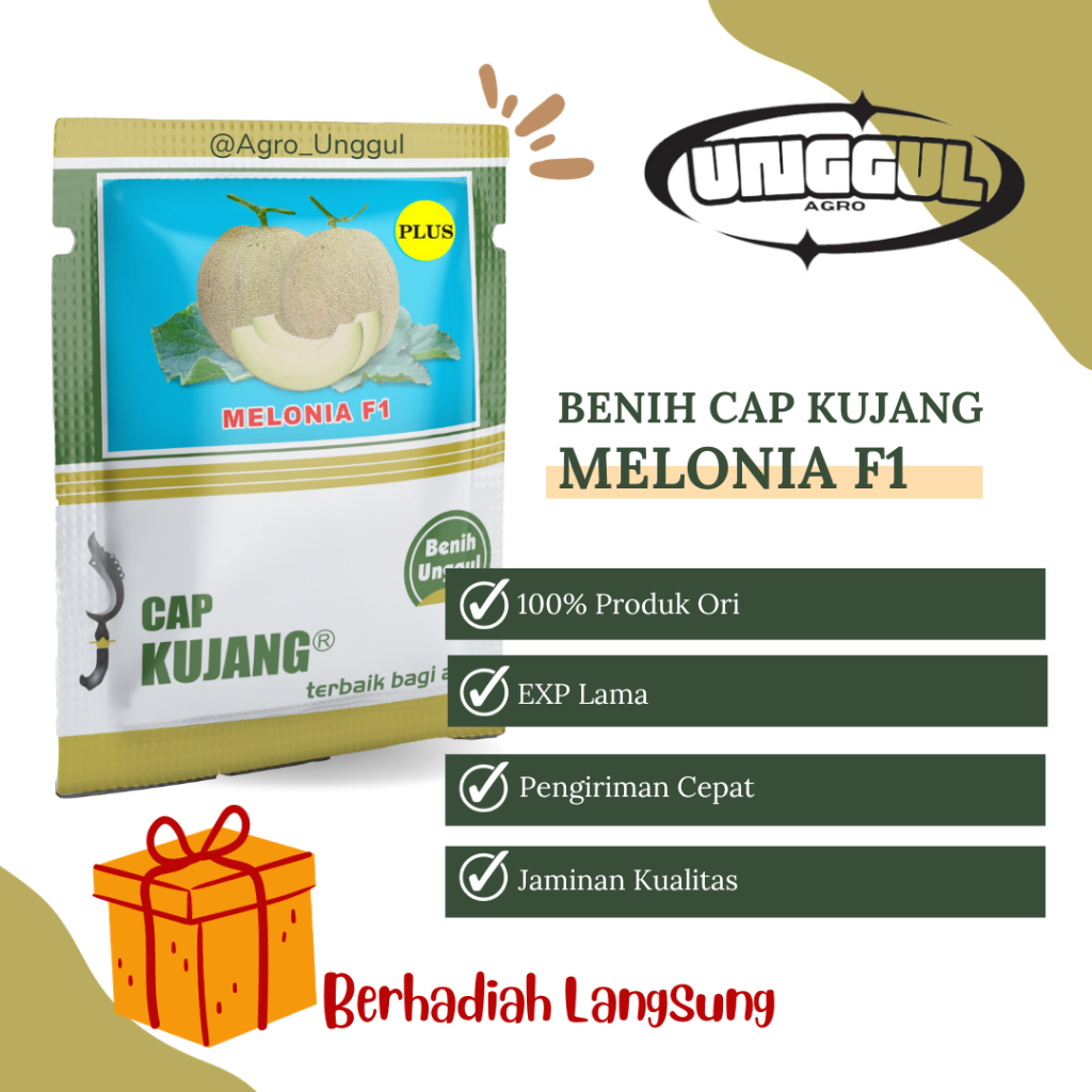Jual benih melon tahan virus cap kujang MELONIA F1 isi kurleb 550 biji