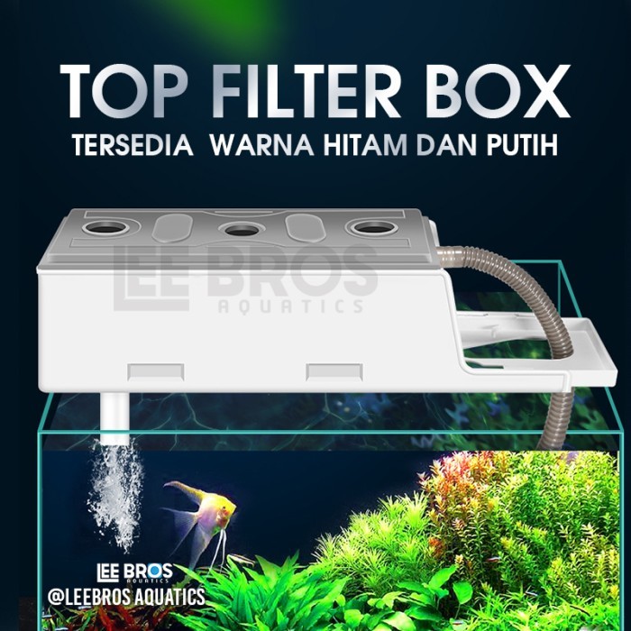 Jual Top Filter Box Aquarium / Box Filter Aquarium / Filter Atas ...