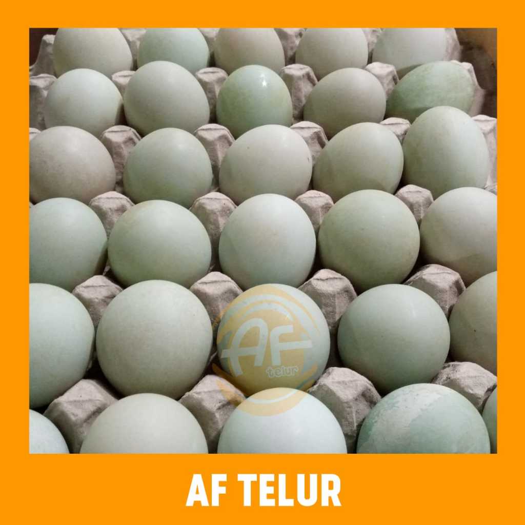 Jual Telur Bebek Fresh Butir Af Telur Shopee Indonesia 3371