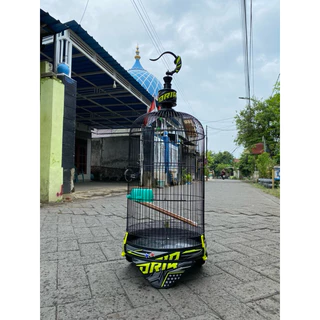 SUM porno kompilyatsiya Hamma joyda erimni sorish