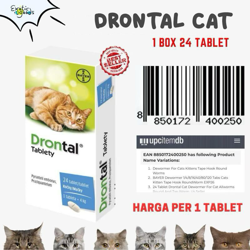 Jual Drontal Cat Terlengkap Harga Terbaru Maret 2024 Shopee