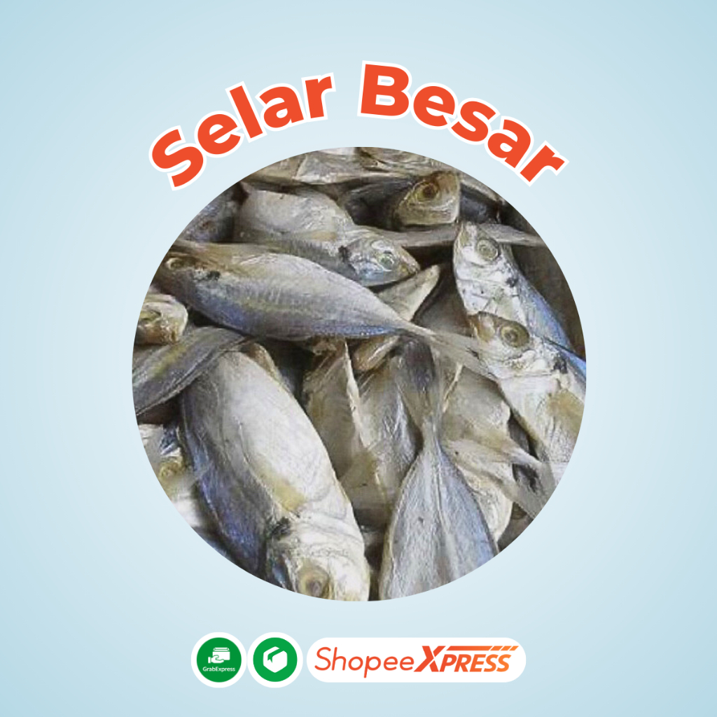 Jual IKAN ASIN SELAR UKURAN BESAR grade 1 | Shopee Indonesia
