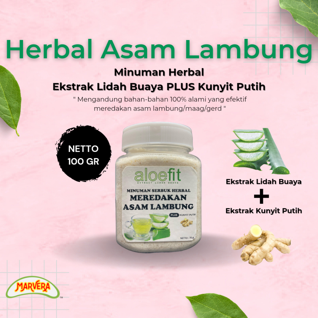 Jual Lidah Buaya Aloevera Aloe vera Serbuk Bubuk Instan Herbal Alami
