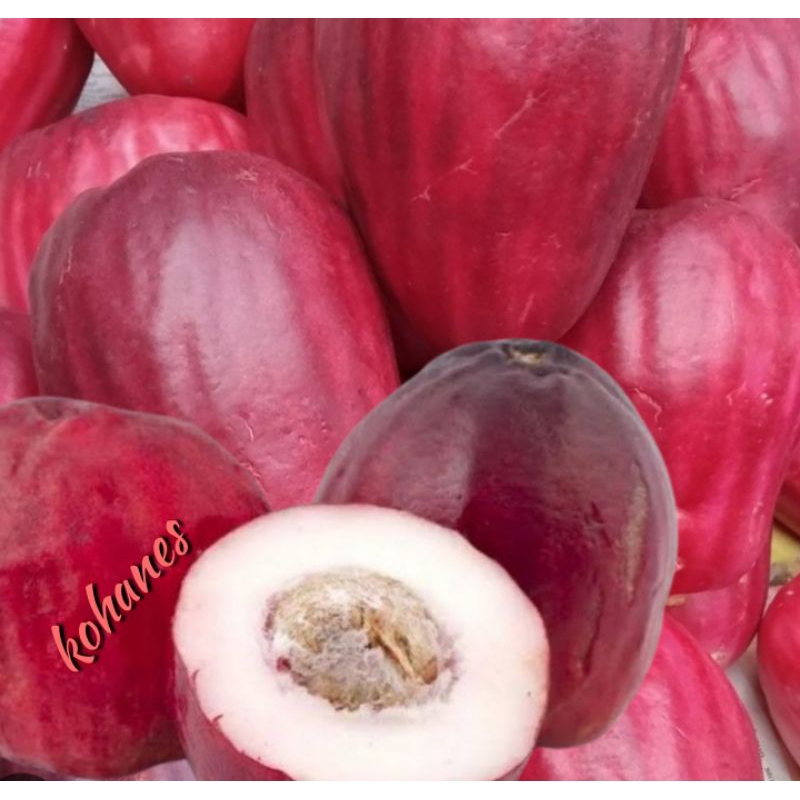 Jambu Bol Online: Manisnya Bisnis Buah Segar di Era Digital