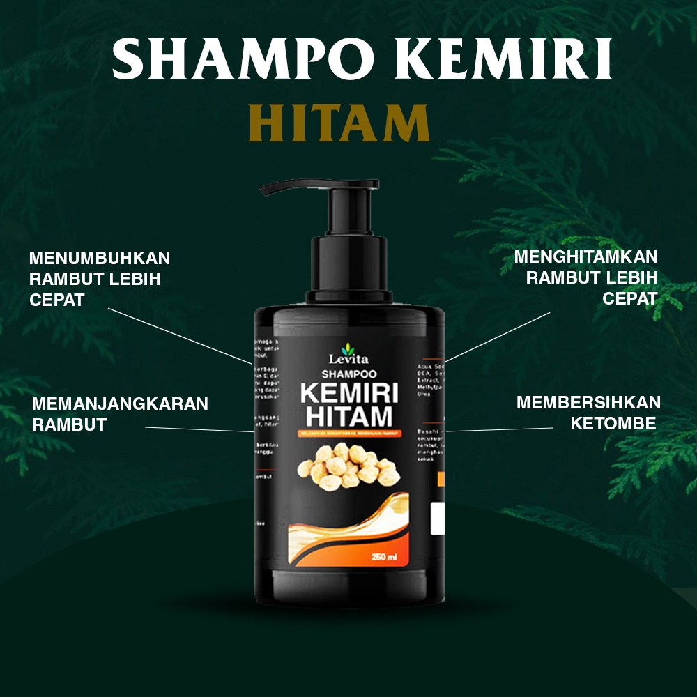 Jual Shampoo Kemiri Hitam Levita Shampoo Penumbuh Rambut Pemanjang