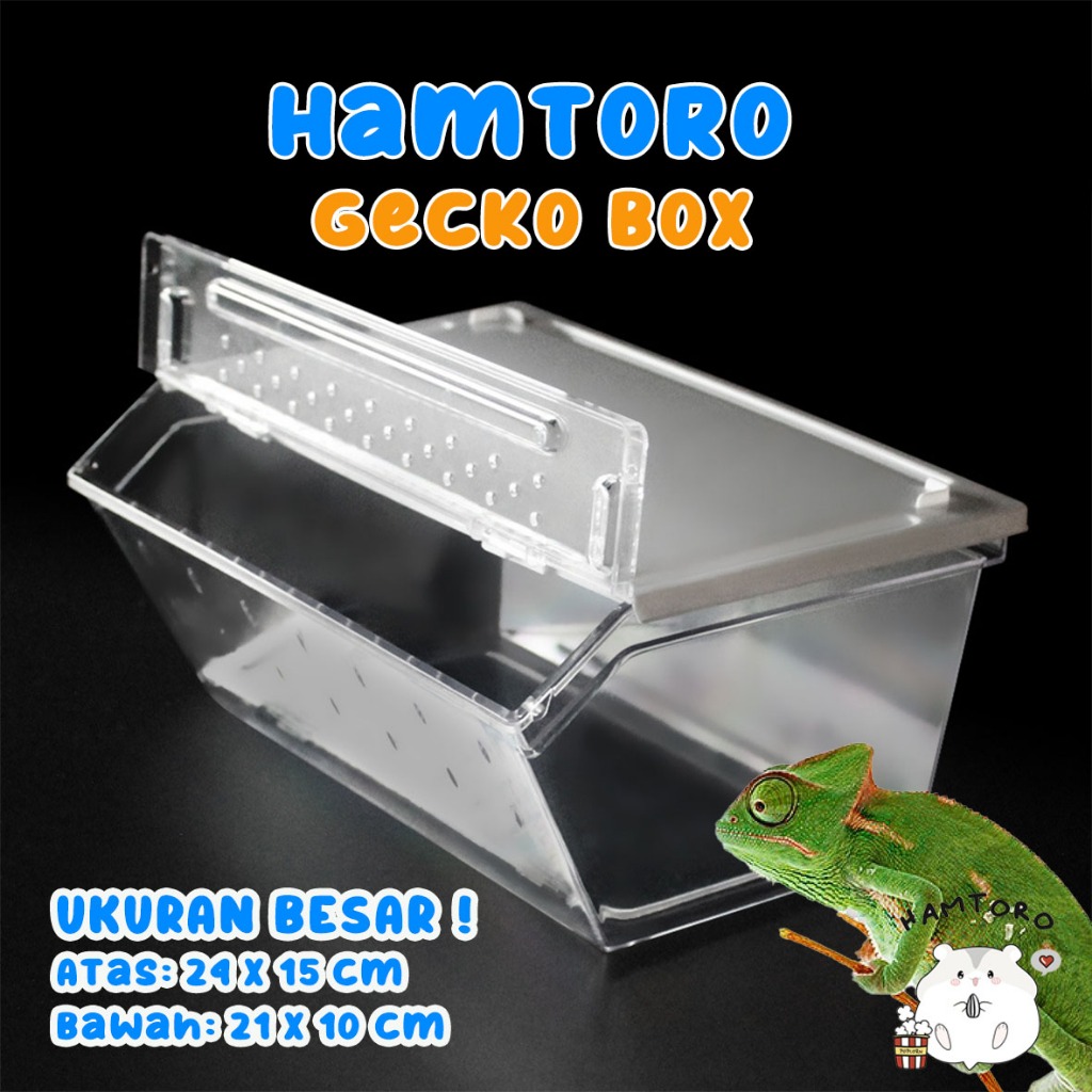 Jual Hamtoro Gecko Box H8 Kandang Besar Untuk Kadal, Kura-kura, Reptil ...