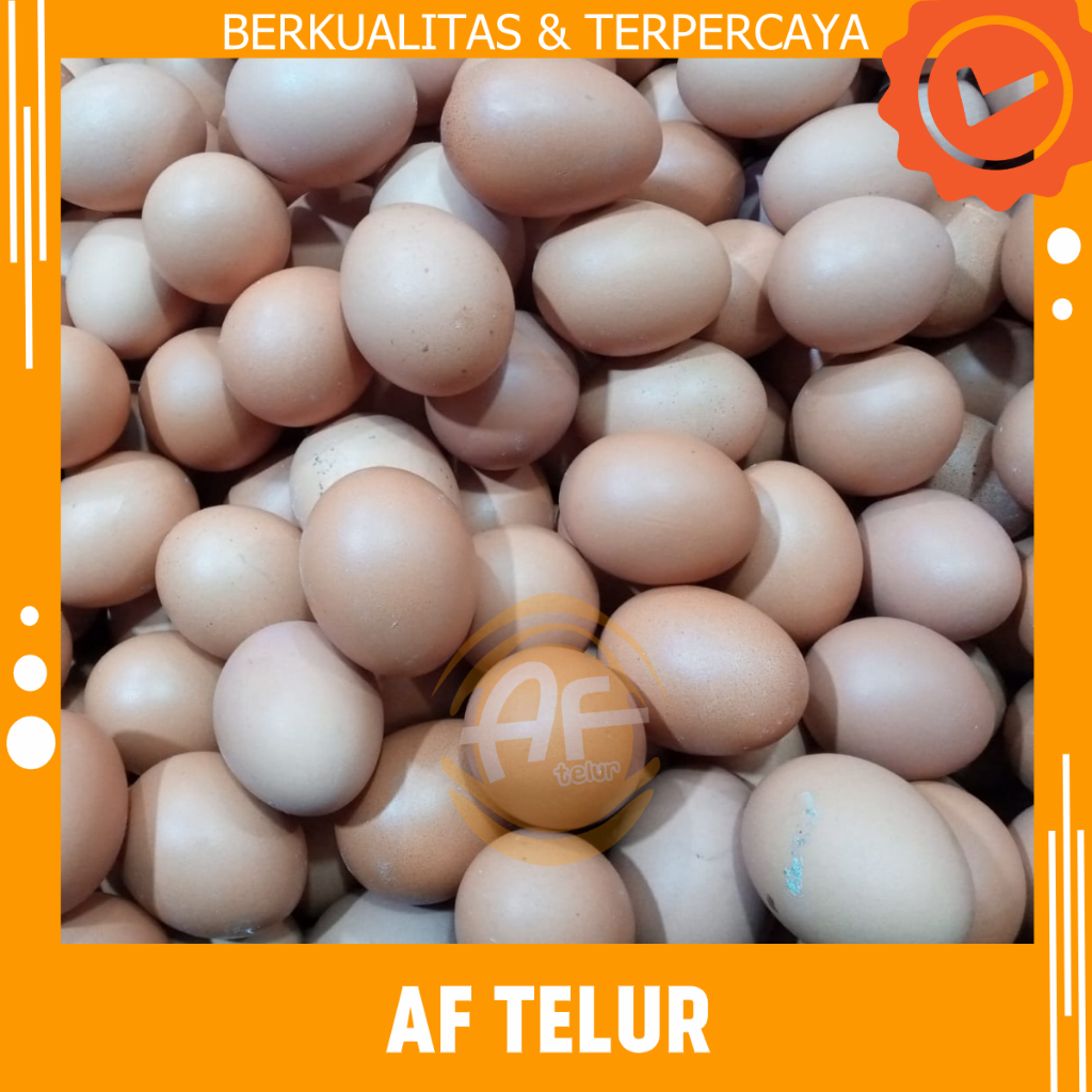 Jual Telur Ayam Negeri 1 Tray Isi 30 Butir Shopee Indonesia 9103