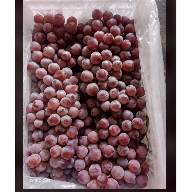 Jual Anggur Red Globe rrc keranjang 7kg | Shopee Indonesia