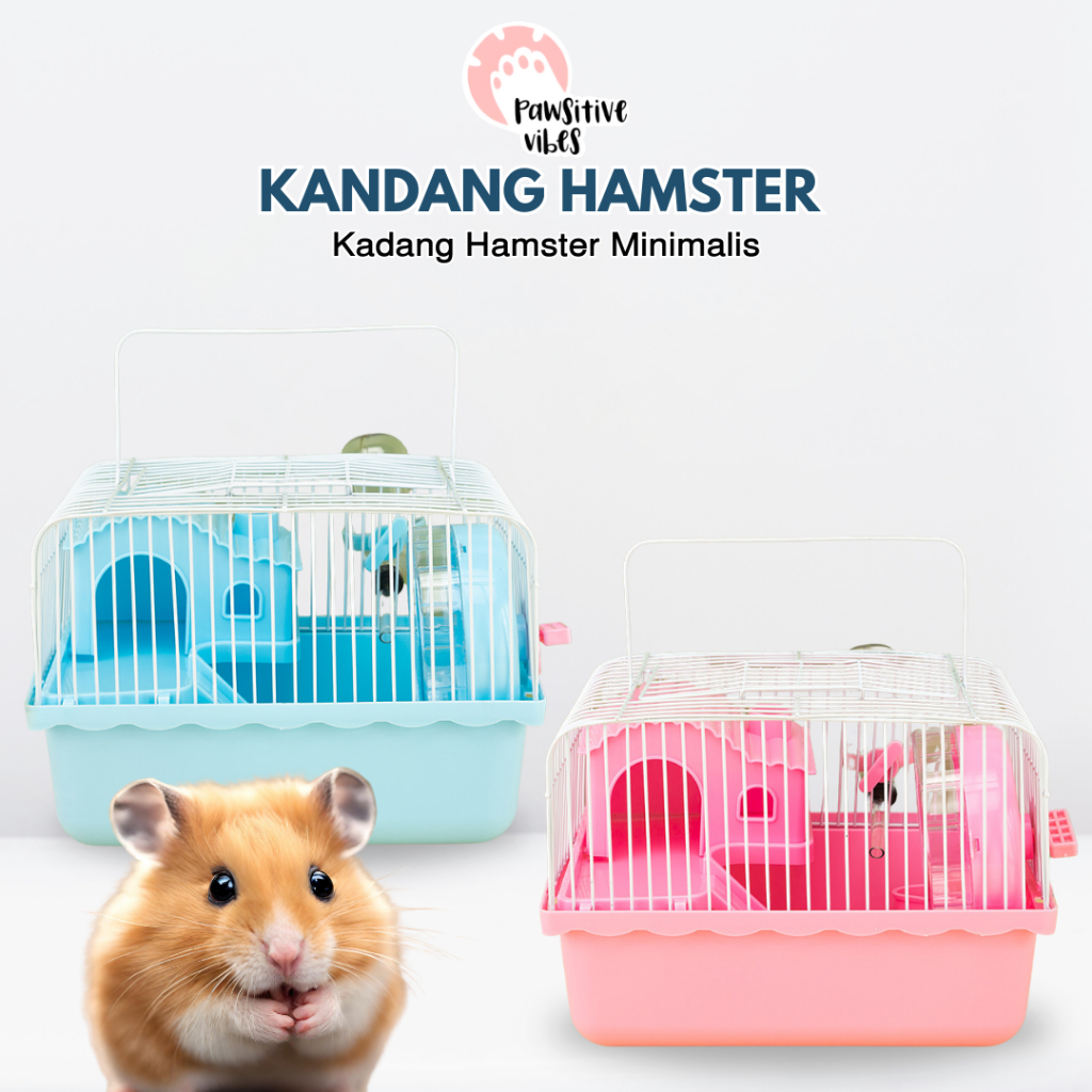 Jual Kandang Hamster MINIMALIS Unik Komplit - Kandang Hamster Sugar ...