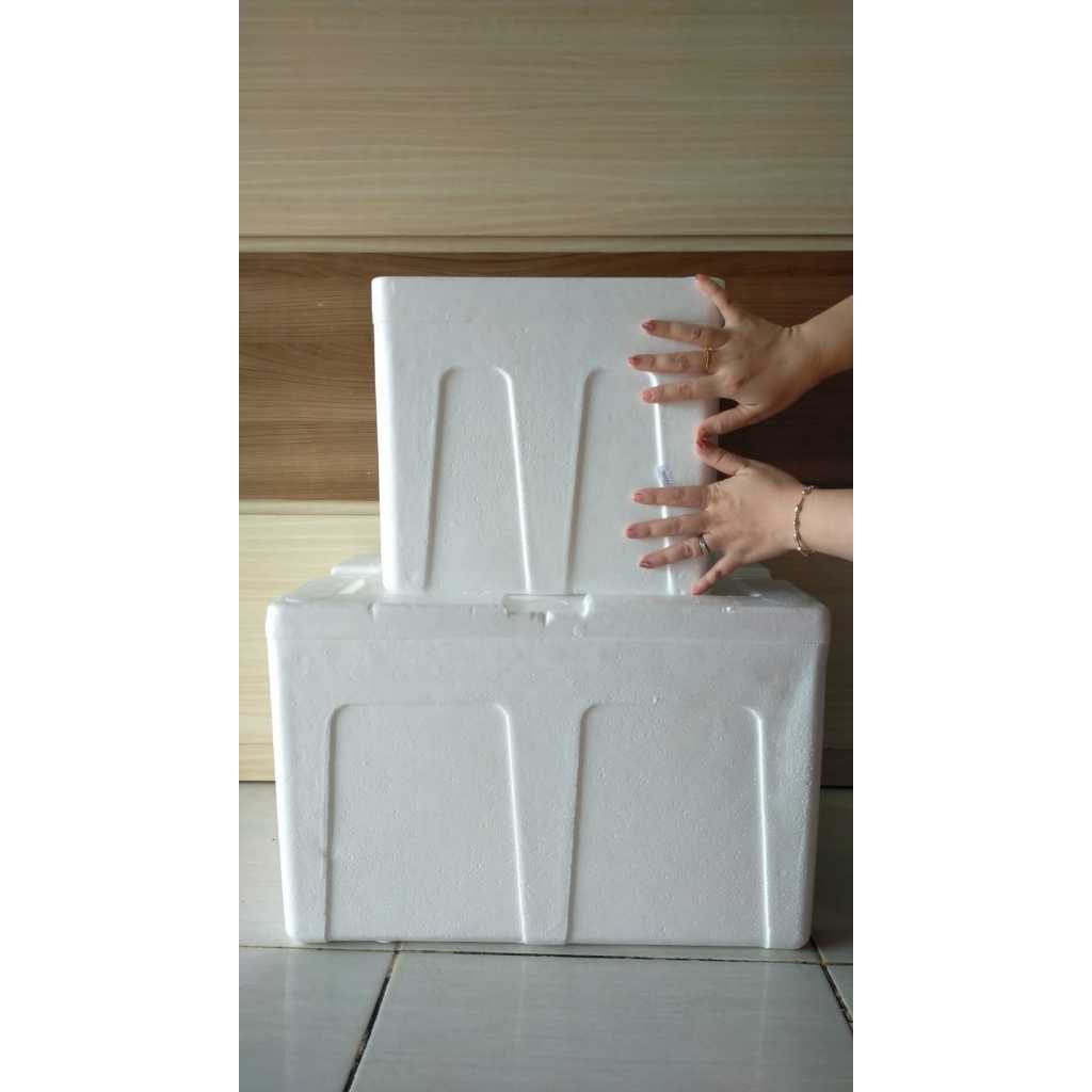 Jual Sterefoam Box Es Gabus Styrofoam / Box Ikan / Box Makanan / Box ...