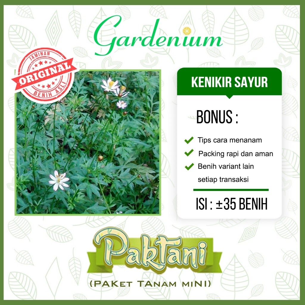 35 Benih Kenikir Sayur Lalap Sayuran Cosmos Bunga Unggul Paktani