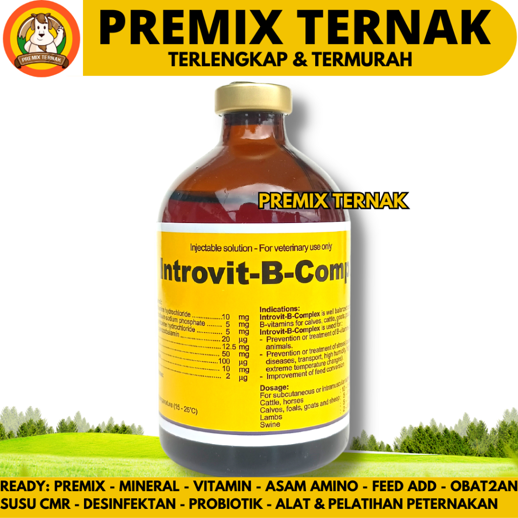 Jual INTROVIT B COMPLEX 100ml Original - (KONSENTRASI TINGGI DAN BIOTIN ...