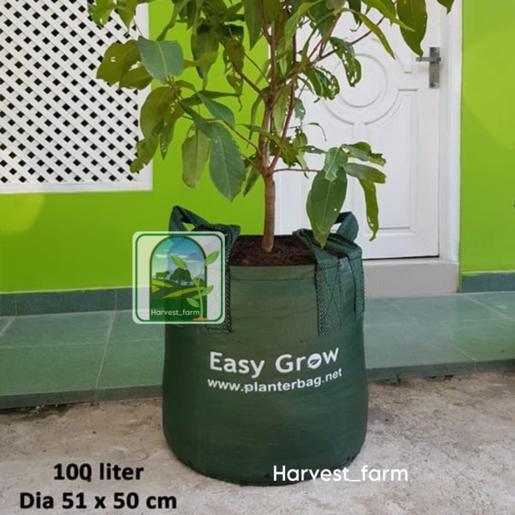 Jual Planter Bag Liter Original Easy Grow Planter Bag Hijau