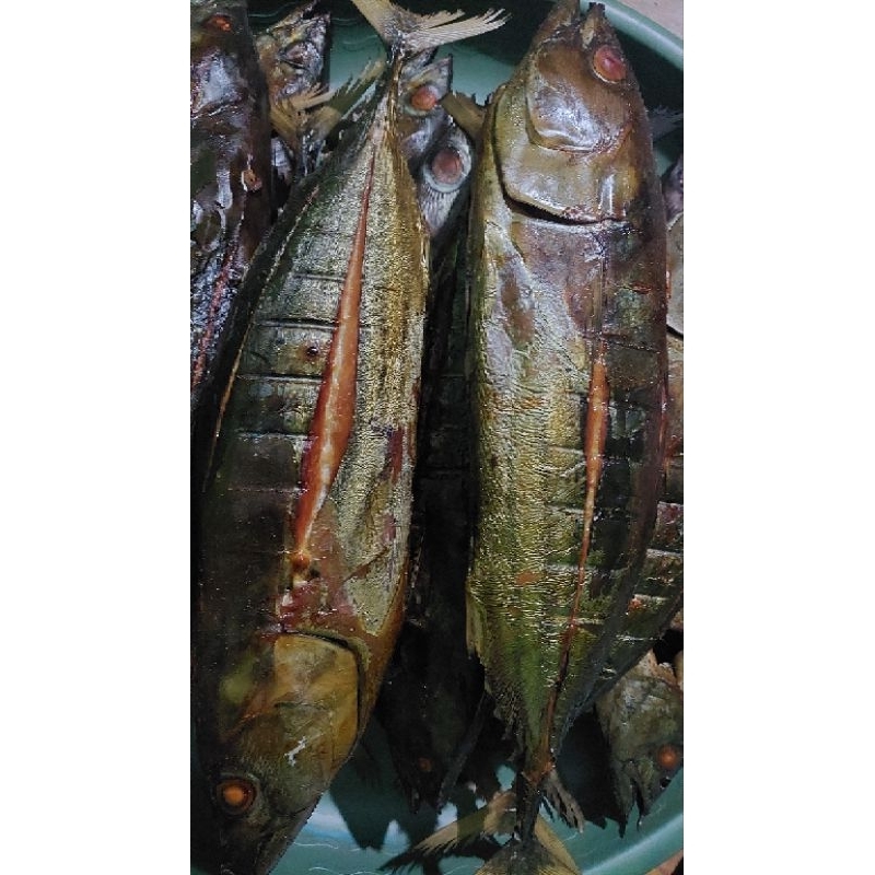 Jual Ikan Cakalang Asap Cakalang Fufu Shopee Indonesia